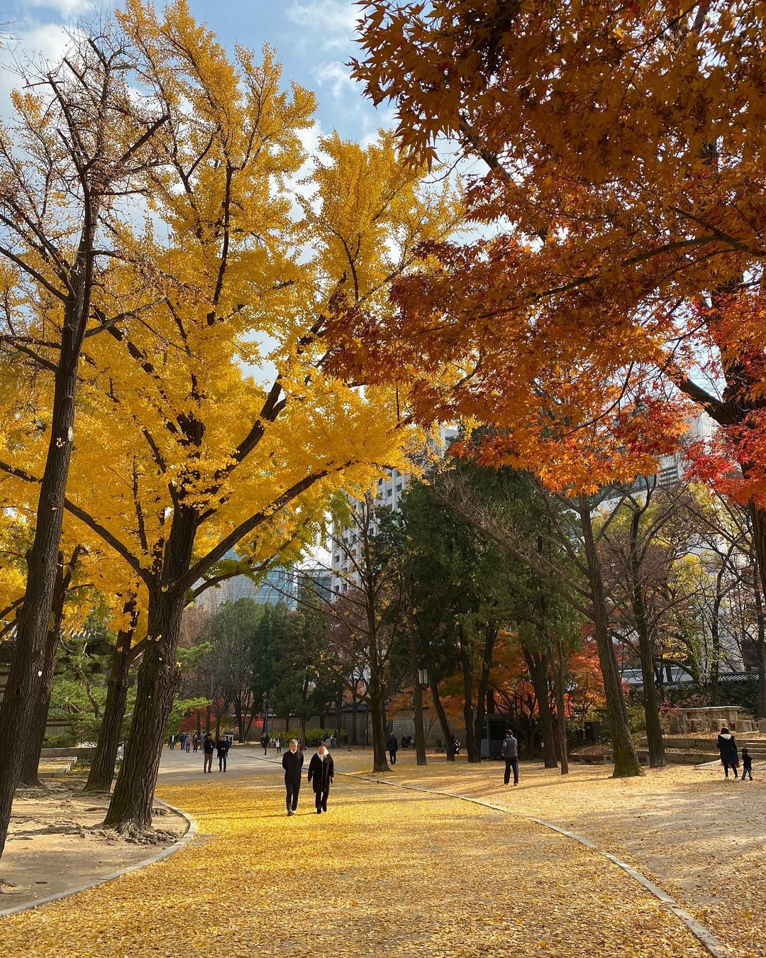 6 địa điểm tận hưởng mùa thu, ngắm lá vàng rơi lãng mạn ở Hàn Quốc - ảnh 17
