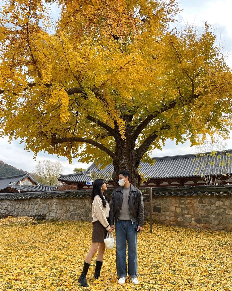 6 địa điểm tận hưởng mùa thu, ngắm lá vàng rơi lãng mạn ở Hàn Quốc - ảnh 12