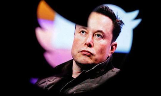 Năm 2022, tỉ phú Elon Musk mất gần 100 tỉ USD - ảnh 1