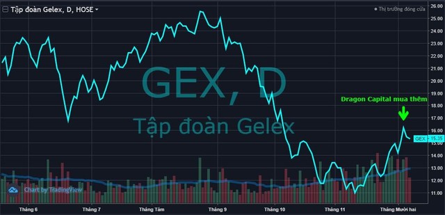 Dragon Capital mua vào hàng triệu cổ phiếu STB và GEX ở đỉnh sóng hồi - ảnh 2