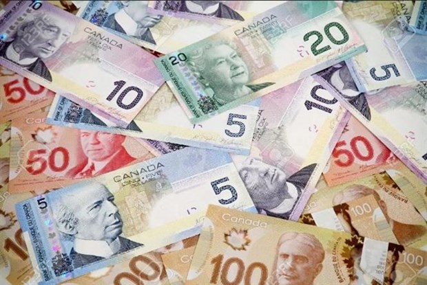Ngân hàng trung ương Canada nâng lãi suất lên mức cao nhất kể từ 2008 - ảnh 1