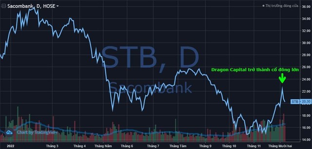 Dragon Capital mua vào hàng triệu cổ phiếu STB và GEX ở đỉnh sóng hồi - ảnh 1