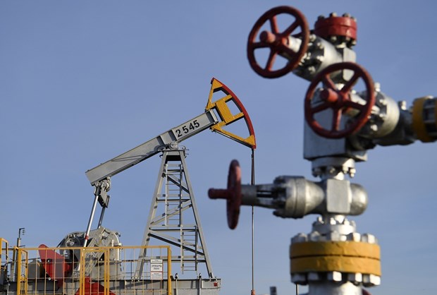 Nga cân nhắc ấn định giá cố định cho dầu thô xuất khẩu - ảnh 1