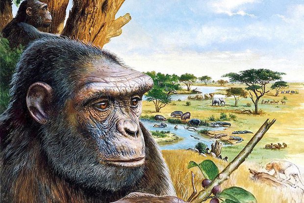 Hóa thạch từ 7 triệu năm trước chứng minh rằng loài người đã tiến hóa ở châu Âu - ảnh 3