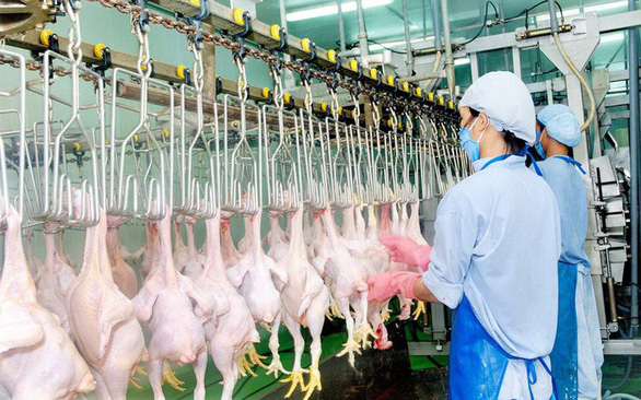 Việt Nam nhập hơn 200.000 tấn thịt gà, kiến nghị hạn chế nhập khẩu gà đông lạnh - ảnh 1