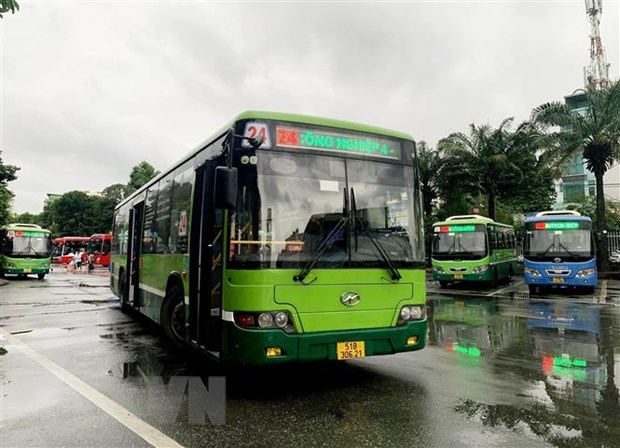 Nghiên cứu tổ chức lại mạng lưới xe buýt ở Thành phố Hồ Chí Minh - ảnh 1