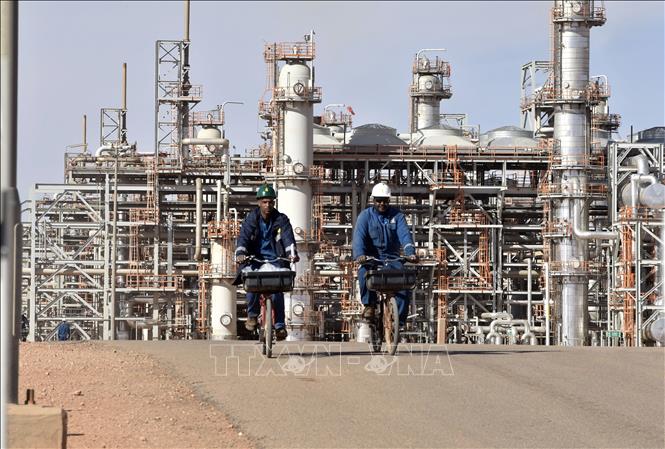 Algeria dự báo nguồn thu từ thuế dầu mỏ chiếm 41% tổng thu ngân sách năm 2023 - ảnh 1
