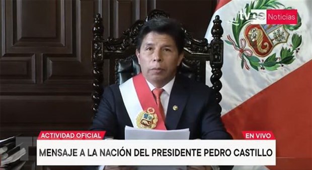Cựu Tổng thống Peru Pedro Castillo bị tạm giam để điều tra - ảnh 1