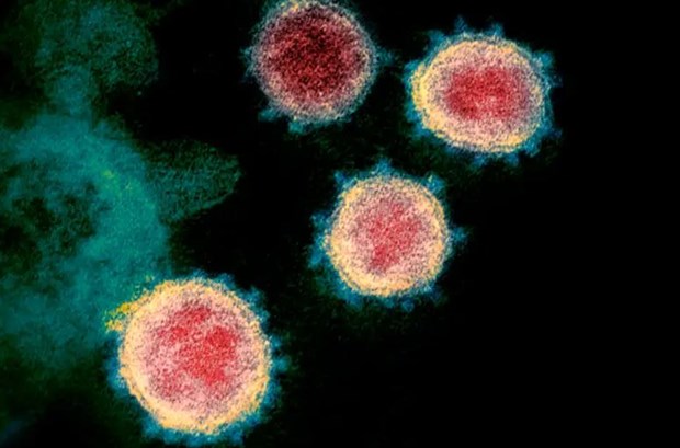 Mở rộng giải trình tự gene với virus gây bệnh hô hấp ngoài COVID-19 - ảnh 1