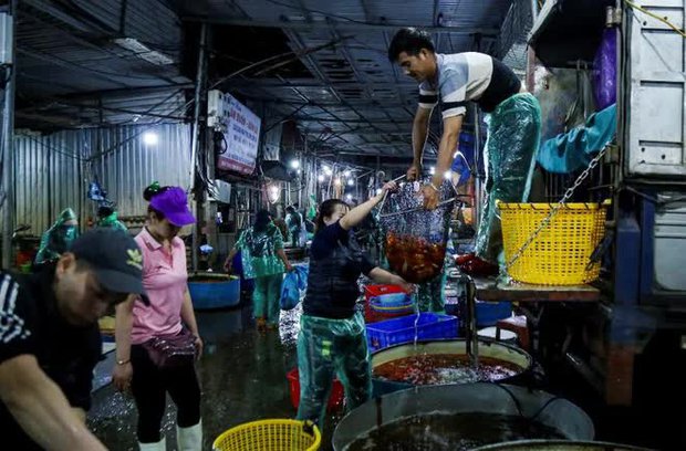 Chợ cá lớn nhất Hà Nội nhộn nhịp trước ngày đưa ông Công ông Táo về trời - ảnh 2