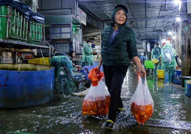 Chợ cá lớn nhất Hà Nội nhộn nhịp trước ngày đưa ông Công ông Táo về trời - ảnh 10