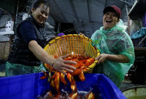 Chợ cá lớn nhất Hà Nội nhộn nhịp trước ngày đưa ông Công ông Táo về trời - ảnh 6