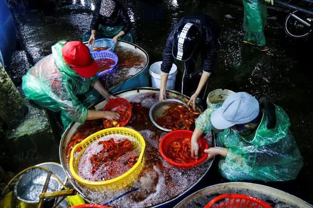 Chợ cá lớn nhất Hà Nội nhộn nhịp trước ngày đưa ông Công ông Táo về trời - ảnh 4