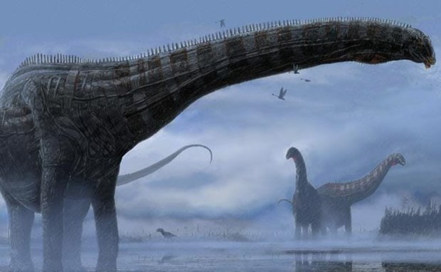 Chile: Phát hiện hóa thạch của 4 loài khủng long chưa từng biết đến - ảnh 1