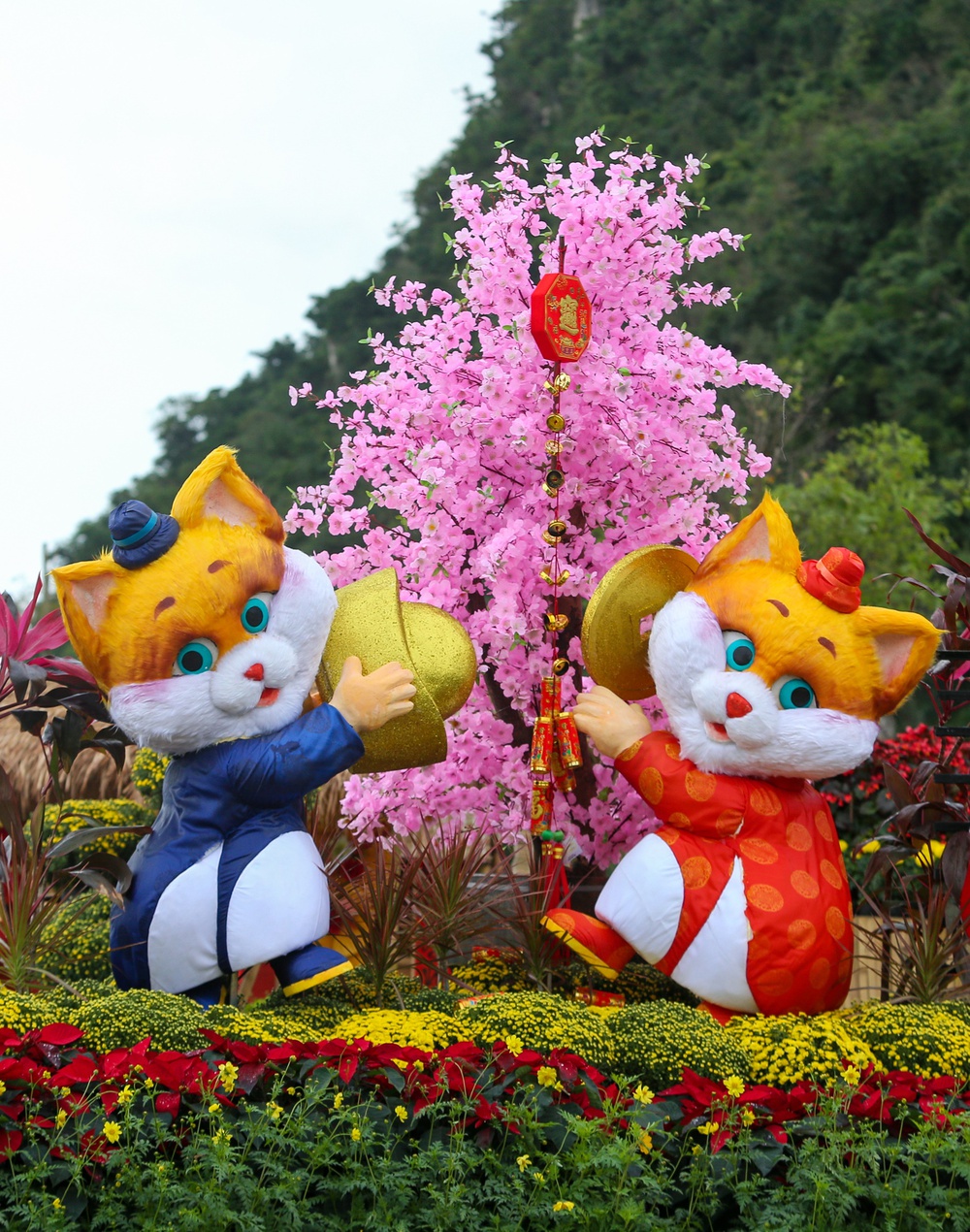 Lộ diện đàn linh vật mèo đủ biểu cảm tại đường hoa Xuân Đà Nẵng - ảnh 9