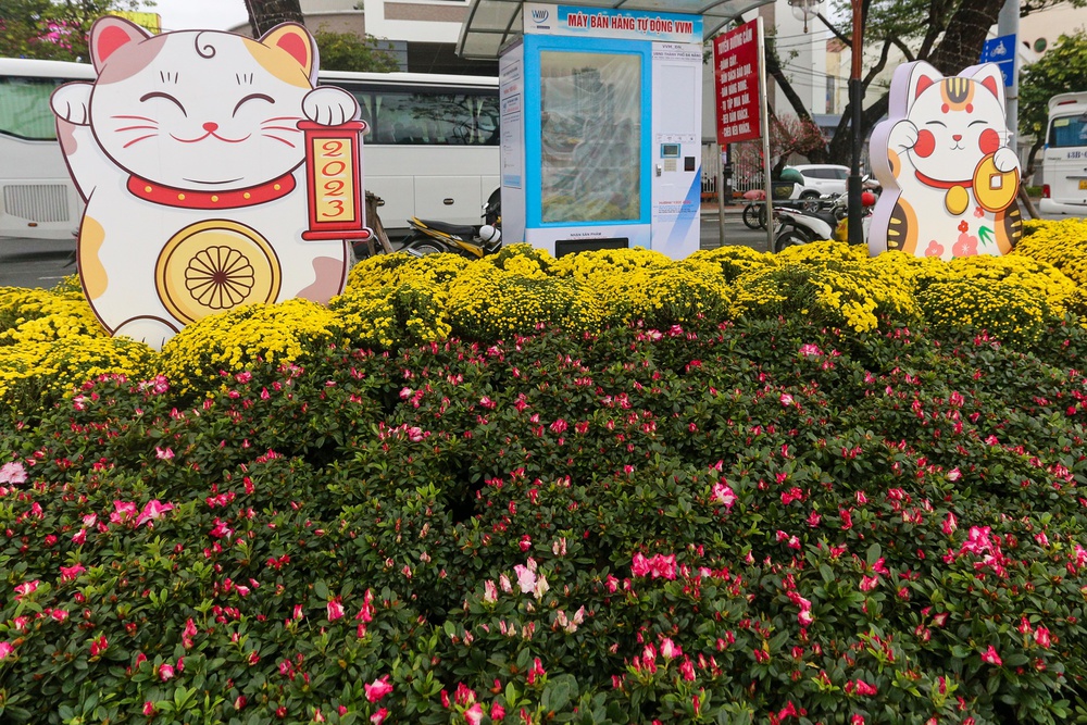 Lộ diện đàn linh vật mèo đủ biểu cảm tại đường hoa Xuân Đà Nẵng - ảnh 17