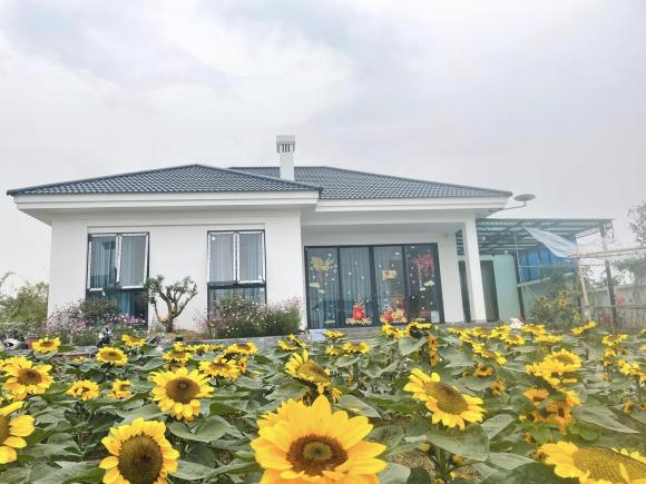 Cặp vợ chồng xây nhà tặng mẹ ở Thái Bình, phủ kín vườn bằng hoa hướng dương cực đẹp - ảnh 2