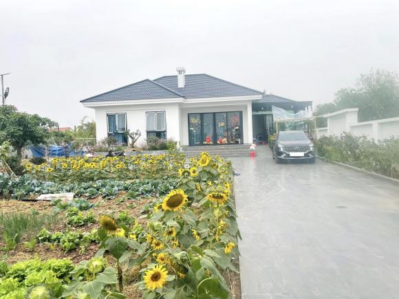 Cặp vợ chồng xây nhà tặng mẹ ở Thái Bình, phủ kín vườn bằng hoa hướng dương cực đẹp - ảnh 4
