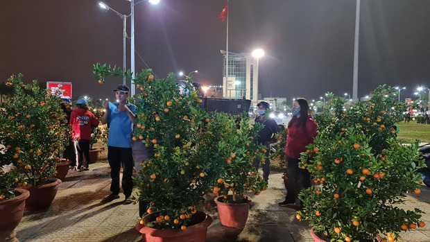 Đà Nẵng: Hoa sale 