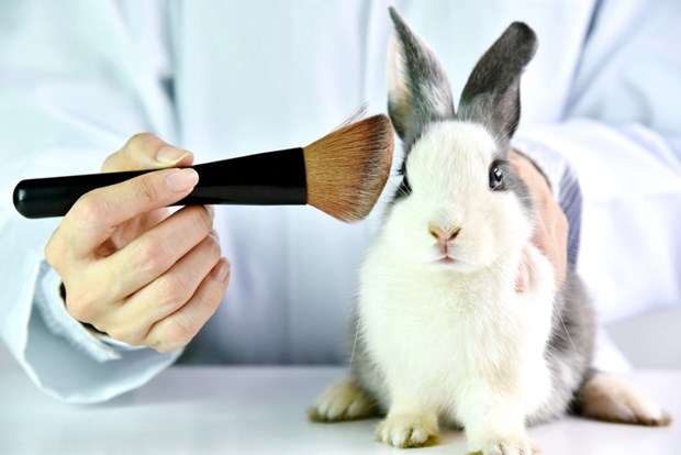 Canada sẽ cấm hành động thử nghiệm mỹ phẩm trên động vật - ảnh 1
