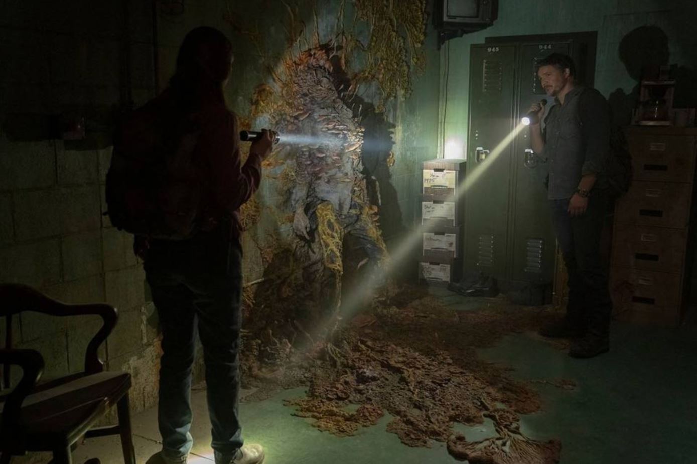 Giải mã loài nấm ký sinh có thể biến vật chủ thành ‘zombie’ đã truyền cảm hứng cho The Last Of Us - ảnh 1