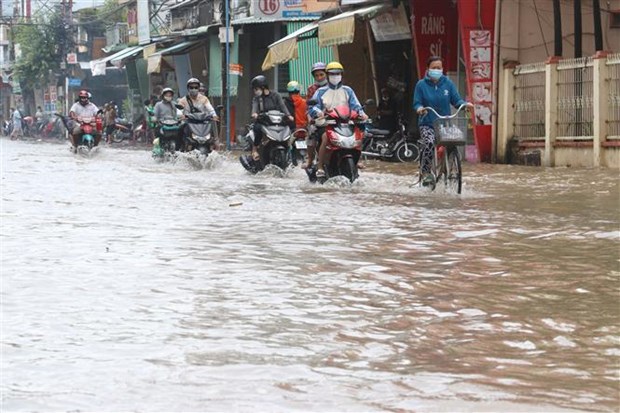 Thành phố Hồ Chí Minh chủ động ứng phó đợt triều cường lên cao dịp Tết - ảnh 1