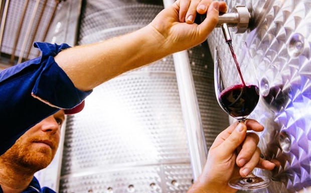 Xuất khẩu rượu vang của Nam Phi sụt giảm trong năm 2022 - ảnh 1