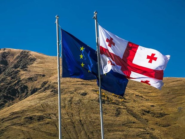Liên minh châu Âu và Gruzia thúc đẩy hợp tác về chính sách an ninh - ảnh 1