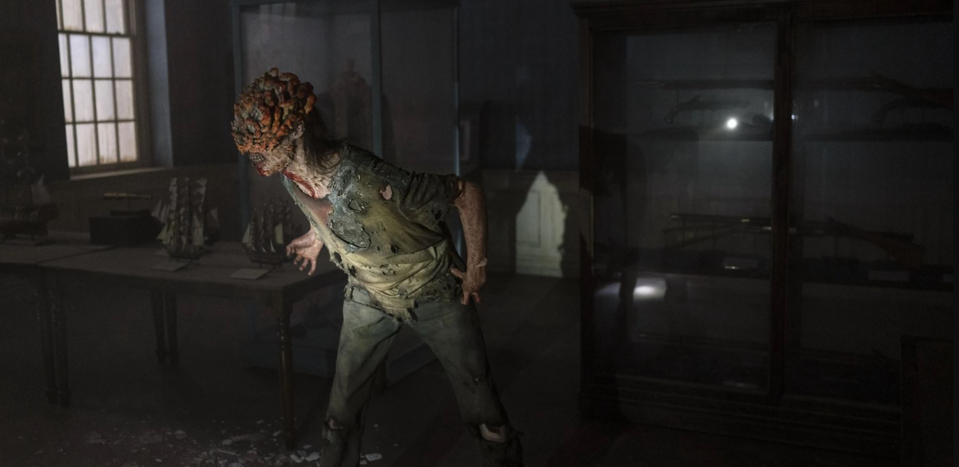 Giải mã loài zombie mới trong bom tấn truyền hình The Last Of Us - ảnh 3