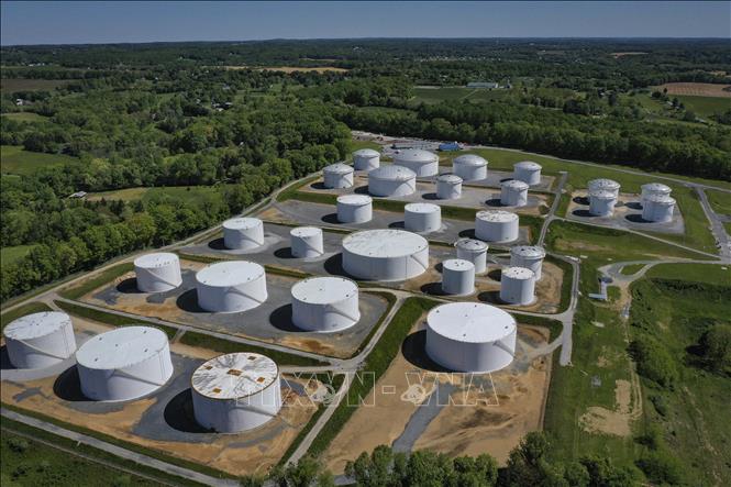 Hạ viện Mỹ thông qua dự luật liên quan kho dự trữ dầu quốc gia - ảnh 1