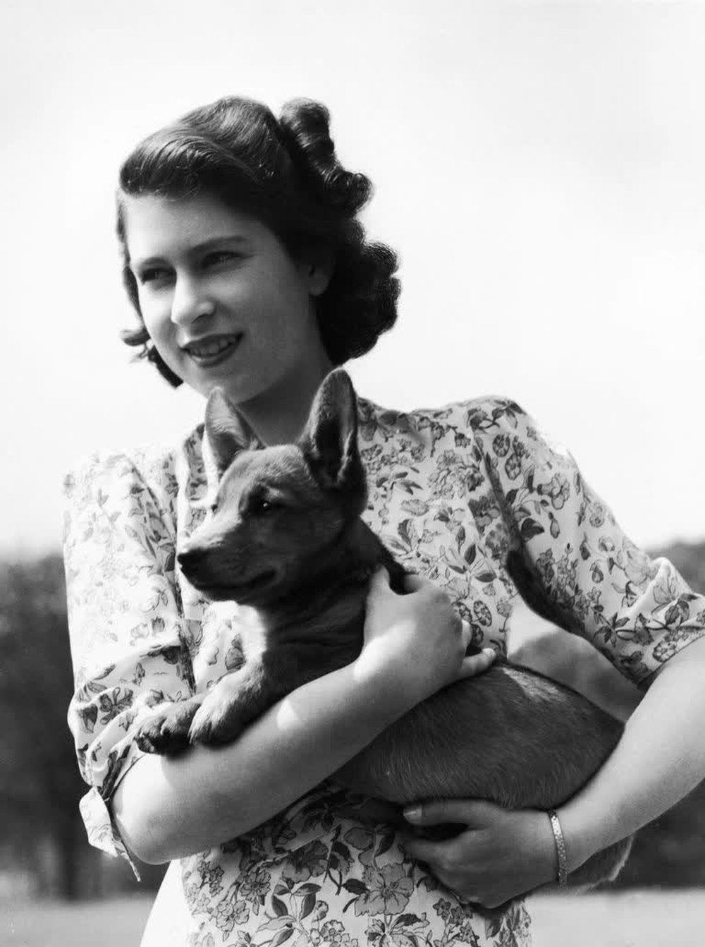 Bức thư đầy cảm động của Nữ vương gửi bác sĩ thú y chứng minh tình yêu vô bờ mà bà dành cho các chú cún - ảnh 2