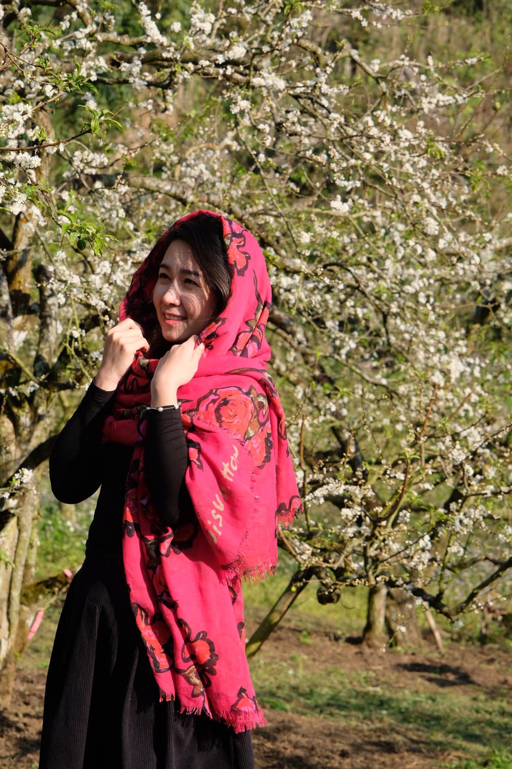 Gia đình mê du lịch mãn nhãn với sắc hoa tớ dày nhuộm hồng núi rừng Mộc Châu - ảnh 10