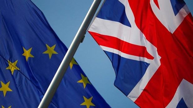 Anh-EU đạt tiến bộ đáng kể trong đàm phán về Nghị định thư Bắc Ireland - ảnh 1