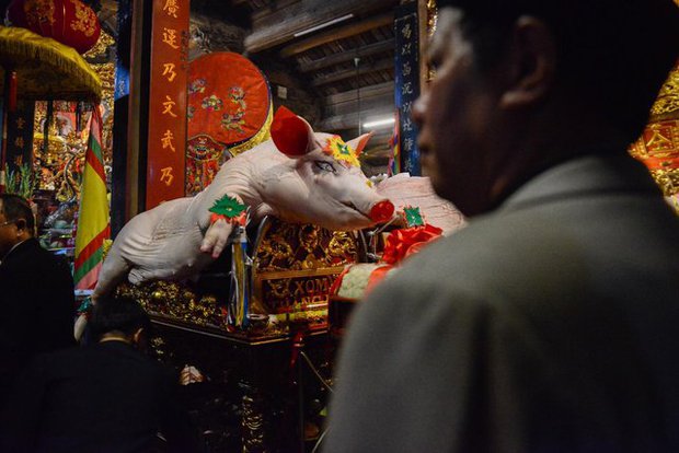 Hà Nội: Đặc sắc lễ hội rước 17 “ông lợn” của người dân làng La Phù - ảnh 6