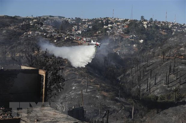 Chile ban bố tình trạng thảm họa do cháy rừng sau đợt nắng nóng - ảnh 1