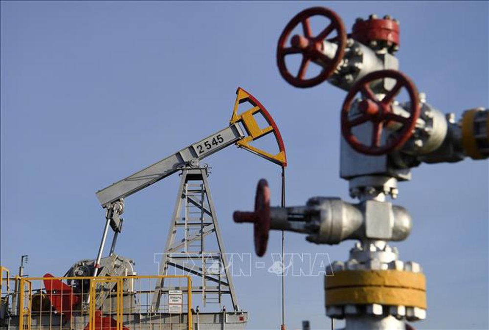 Lệnh cấm sản phẩm dầu Nga sẽ gây gián đoạn nguồn cung dầu toàn cầu - ảnh 1
