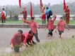 Độc đáo Lễ hội Vua Hùng dạy dân cấy lúa ở Phú Thọ - ảnh 11
