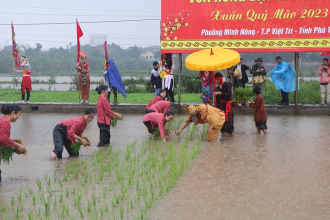 Độc đáo Lễ hội Vua Hùng dạy dân cấy lúa ở Phú Thọ - ảnh 5