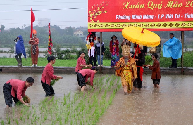 Độc đáo Lễ hội Vua Hùng dạy dân cấy lúa ở Phú Thọ - ảnh 4