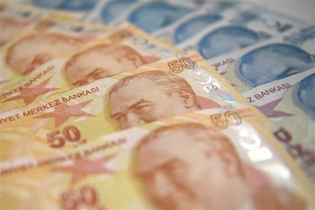 Đồng lira của Thổ Nhĩ Kỳ giảm ở mức kỷ lục trong phiên giao dịch 6/2 - ảnh 1