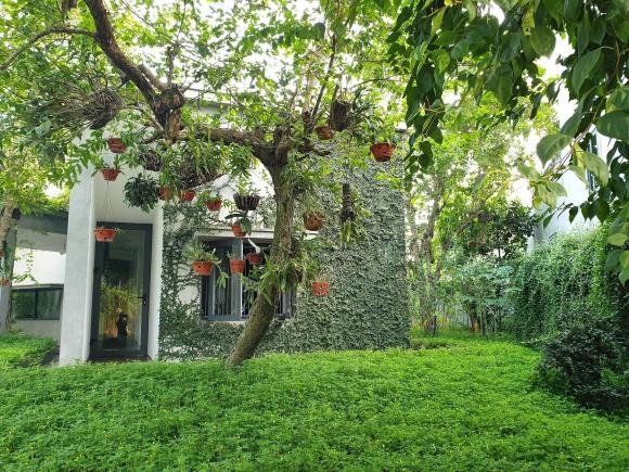 Thiết kế nhà ngập tràn không gian xanh như khu rừng nhiệt đới của cặp vợ chồng trẻ ở Nghệ An - ảnh 2