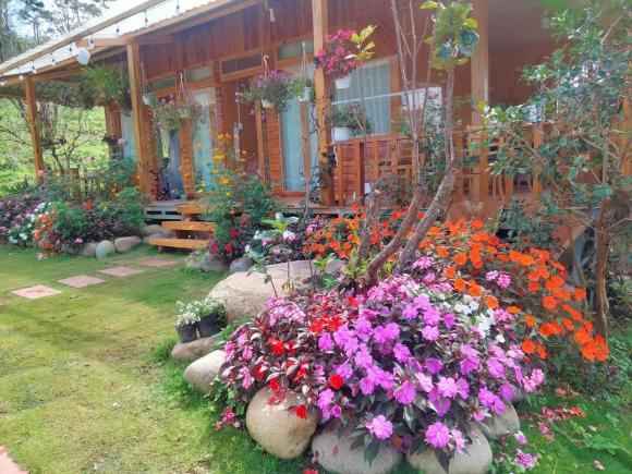 Hơn 10 năm sống ở thành phố, cặp vợ chồng bỏ về quê xây ngôi nhà gỗ với vườn hoa đẹp như tranh vẽ - ảnh 11