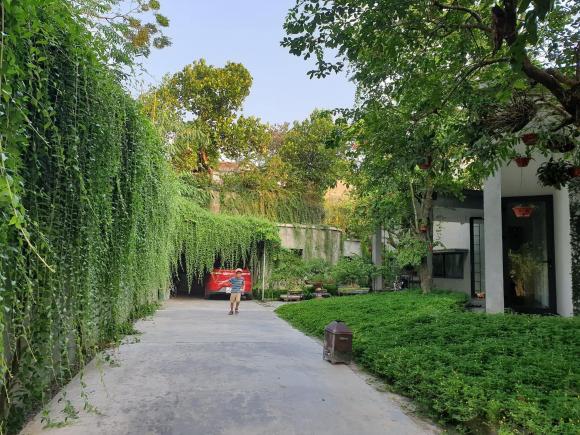 Thiết kế nhà ngập tràn không gian xanh như khu rừng nhiệt đới của cặp vợ chồng trẻ ở Nghệ An - ảnh 9