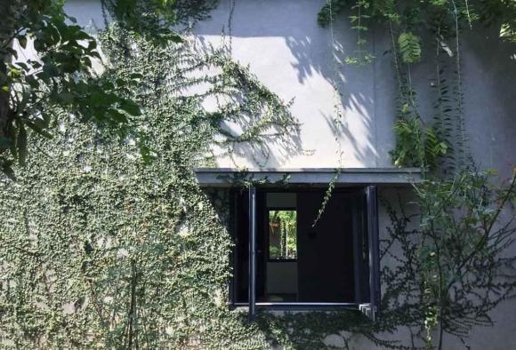 Thiết kế nhà ngập tràn không gian xanh như khu rừng nhiệt đới của cặp vợ chồng trẻ ở Nghệ An - ảnh 15