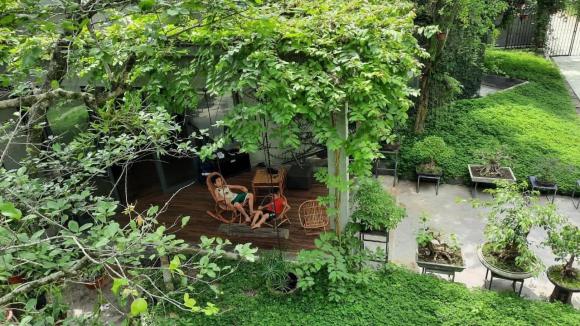 Thiết kế nhà ngập tràn không gian xanh như khu rừng nhiệt đới của cặp vợ chồng trẻ ở Nghệ An - ảnh 6