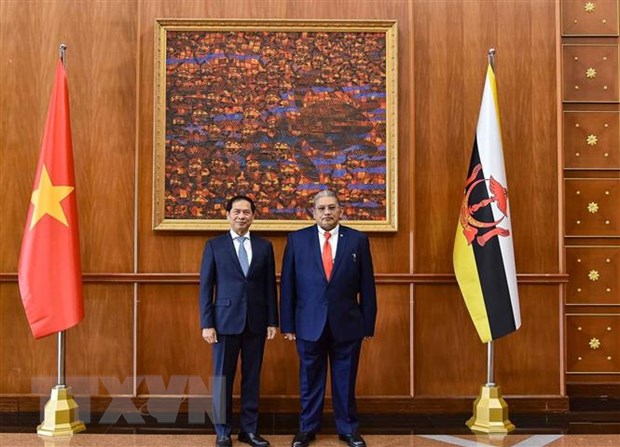 Nâng tầm hợp tác giữa Việt Nam với Singapore và Brunei Darussalam - ảnh 3