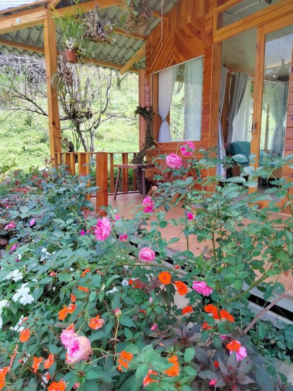 Hơn 10 năm sống ở thành phố, cặp vợ chồng bỏ về quê xây ngôi nhà gỗ với vườn hoa đẹp như tranh vẽ - ảnh 10