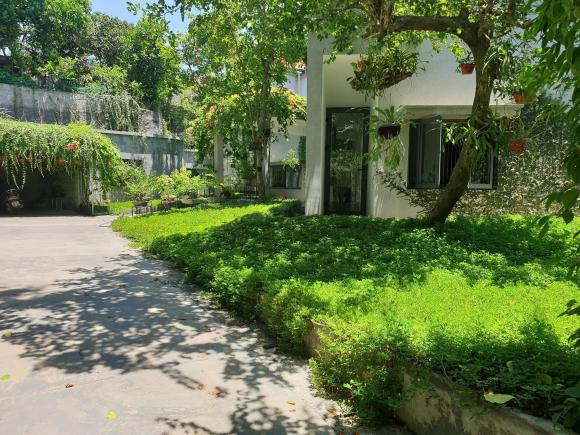 Thiết kế nhà ngập tràn không gian xanh như khu rừng nhiệt đới của cặp vợ chồng trẻ ở Nghệ An - ảnh 1