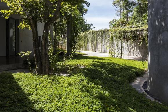 Thiết kế nhà ngập tràn không gian xanh như khu rừng nhiệt đới của cặp vợ chồng trẻ ở Nghệ An - ảnh 7
