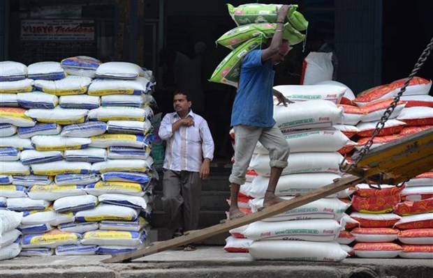 Giá gạo xuất khẩu của Ấn Độ tăng lên mức cao nhất gần 2 năm qua - ảnh 1